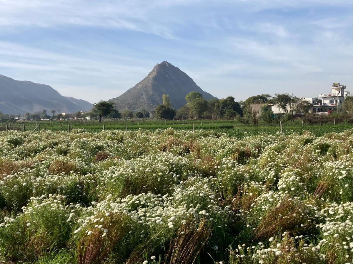 Hotel The Pushkar Flower 외부 사진