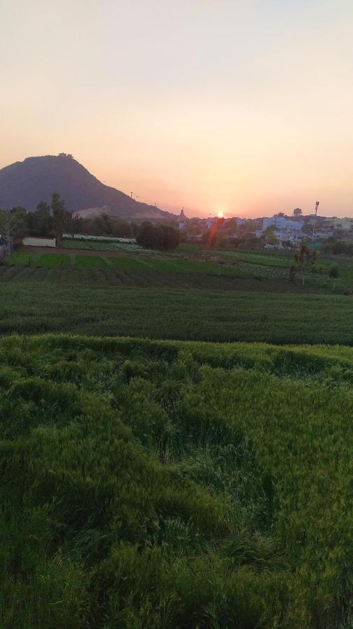 Hotel The Pushkar Flower 외부 사진
