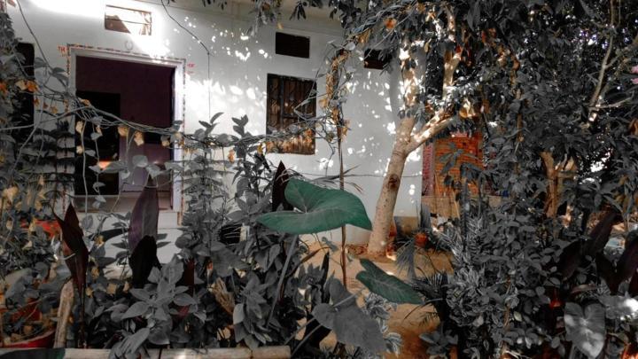 Hotel The Pushkar Flower 외부 사진