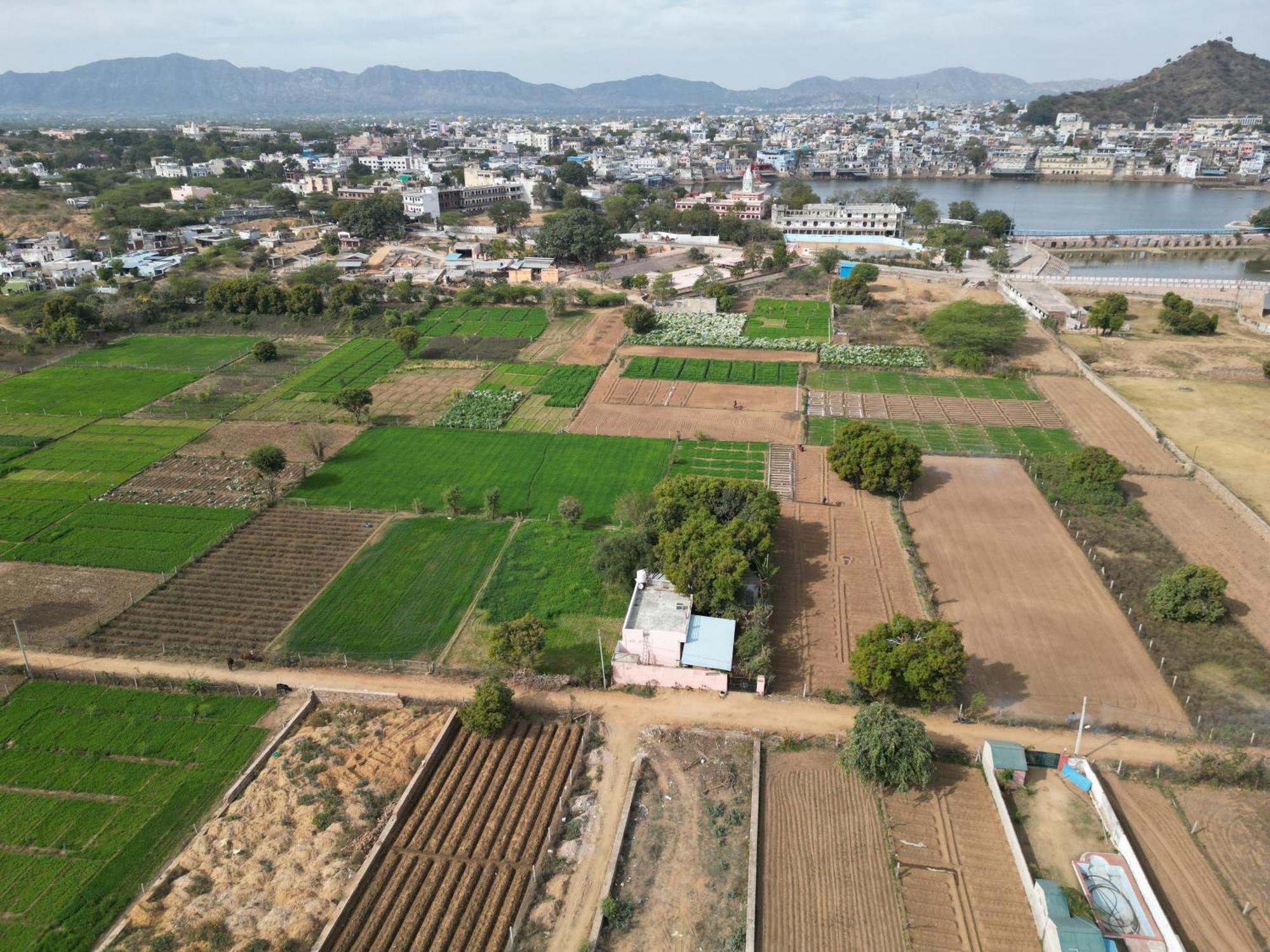 Hotel The Pushkar Flower 외부 사진
