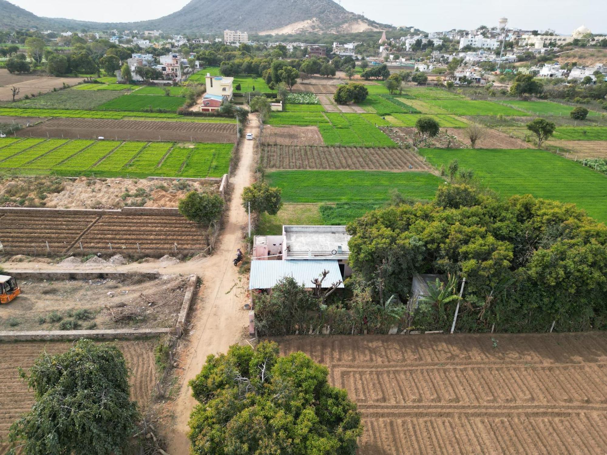 Hotel The Pushkar Flower 외부 사진