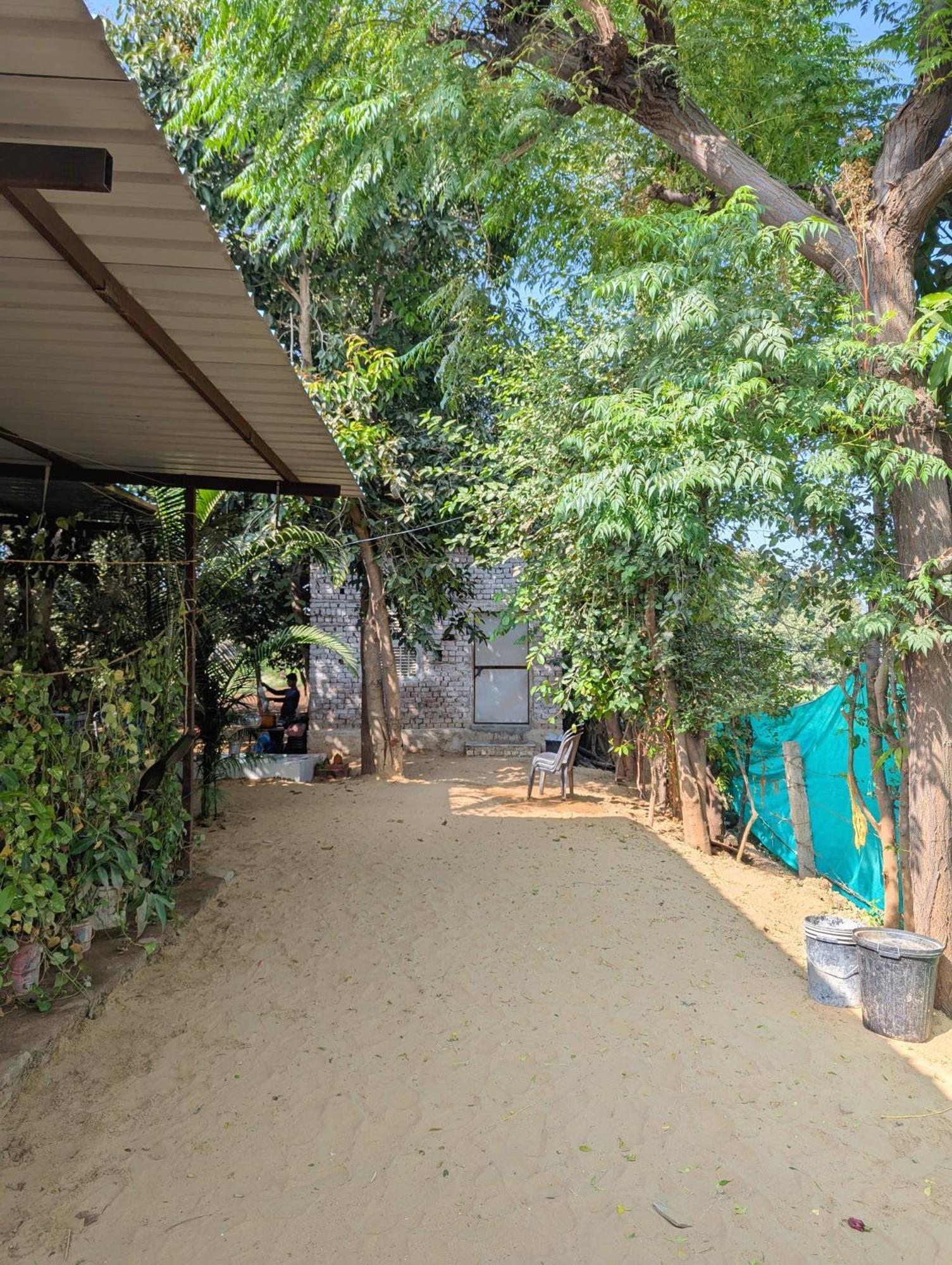 Hotel The Pushkar Flower 외부 사진